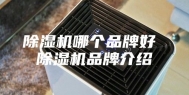 除湿机哪个品牌好 除湿机品牌介绍
