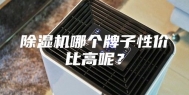 除湿机哪个牌子性价比高呢？