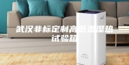 武汉非标定制高低温湿热试验箱