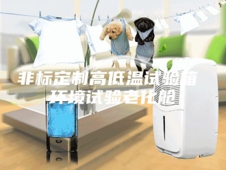 知识百科非标定制高低温试验箱 环境试验老化舱