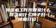除湿机工作原理是什么 除湿机什么牌子好【详细介绍】