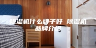除湿机什么牌子好 除湿机品牌介绍
