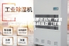 恒温恒湿空调有哪些品牌 恒温恒湿空调热门品牌推荐【详情】