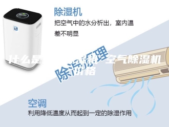 常见问题什么是空气除湿机 空气除湿机价格