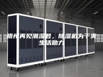 行业新闻梧州再见潮湿君，除湿机为干爽生活助力