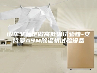 企业新闻山东非标定做高低温试验箱-安诗曼ASM除湿机试验设备