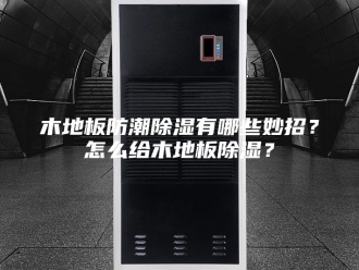 知识百科木地板防潮除湿有哪些妙招？怎么给木地板除湿？