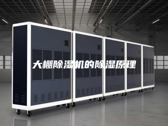 行业新闻大棚除湿机的除湿原理