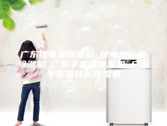 行业新闻广东锂电池除湿机_锂电池行业除湿机_广东手套箱除湿机_广东手套箱转轮除湿机