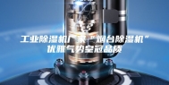 工业除湿机厂家“烟台除湿机”优雅气势皇冠品质