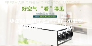 小型除湿机什么牌子好 小型除湿机好用吗【详细介绍】