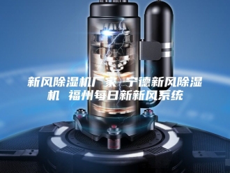 行业新闻新风除湿机厂家 宁德新风除湿机 福州每日新新风系统