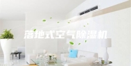 落地式空气除湿机