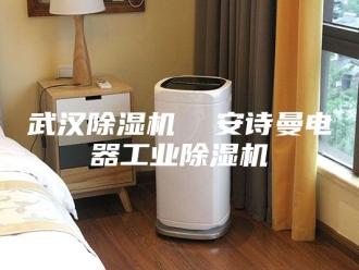 企业新闻武汉除湿机  安诗曼电器工业除湿机