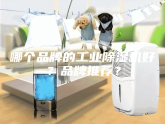 行业新闻哪个品牌的工业除湿机好？品牌推荐？