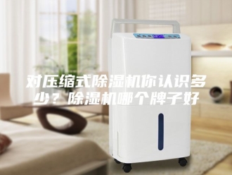 行业新闻对压缩式除湿机你认识多少？除湿机哪个牌子好