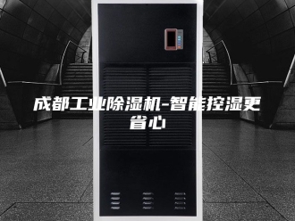 行业新闻成都工业除湿机-智能控湿更省心
