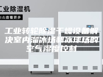知识百科工业转轮除湿干燥设备解决室内溜冰场和冰球场的空气湿度控制