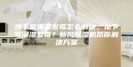 地下室潮湿发霉怎么解决，地下室潮湿发霉？新风除湿机帮你解决方案