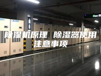 企业新闻除湿机原理 除湿器使用注意事项