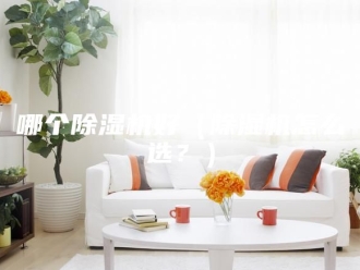 行业新闻哪个除湿机好（除湿机怎么选？）