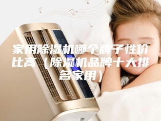行业新闻家用除湿机哪个牌子性价比高（除湿机品牌十大排名家用）