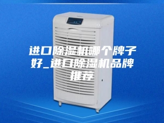 企业新闻进口除湿机哪个牌子好_进口除湿机品牌推荐