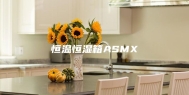 恒温恒湿箱ASMX
