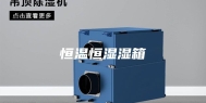 恒温恒湿湿箱