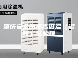 知识百科肇庆安全防爆高低温（湿热）试验箱
