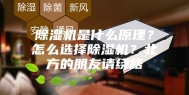 除湿机是什么原理？怎么选择除湿机？北方的朋友请绕路