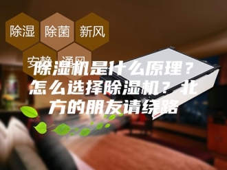 企业新闻除湿机是什么原理？怎么选择除湿机？北方的朋友请绕路