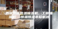 西城区高低温除湿机，工业抽湿机  恒温恒湿非标机器