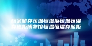 档案储存恒温恒湿柜恒温恒湿存放柜博物馆恒温恒湿存储柜