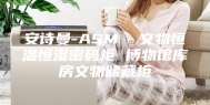 安诗曼-ASM  文物恒温恒湿密码柜 博物馆库房文物储藏柜