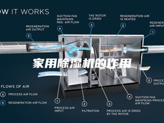 行业新闻家用除湿机的作用