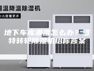 行业新闻地下车库潮湿怎么办？罗特转轮除湿机给你答案