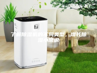 常见问题了解除湿机的不同类型，增长除湿小常识