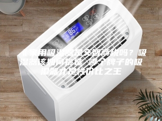 知识百科《家用吸湿器是交智商税吗？吸湿器该如何挑选 哪个牌子的吸湿器才是性价比之王