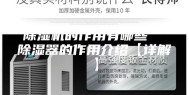 除湿机的作用有哪些  除湿器的作用介绍【详解】