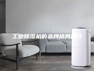 行业新闻工业除湿机的品牌格局简介