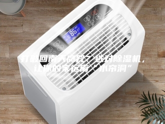 行业新闻打破回南天魔咒？选对除湿机，让你的家远离“水帘洞”