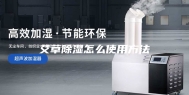 艾草除湿怎么使用方法