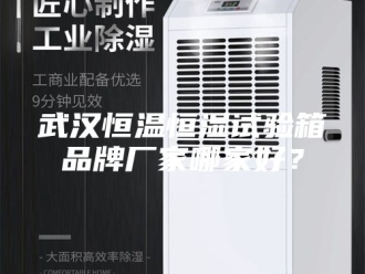 常见问题武汉恒温恒湿试验箱品牌厂家哪家好？