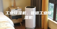 工业除湿机、管道工业除湿机