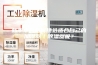 新手小白如何挑选适合自己的加湿器／除湿器呢？