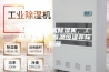 娄底市配电房除湿机，工业抽湿机  恒温恒湿非标机器
