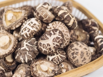 企业新闻干货仓库怎么利用除湿机保持干爽？