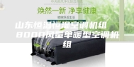 山东恒温恒湿空调机组  8000风量单暖型空调机组