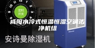 咸阳水冷式恒温恒湿空调洁净机组